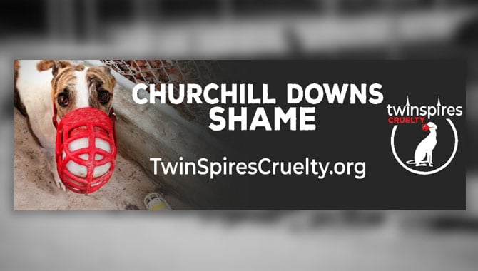 churchill downs twin spires cruelty