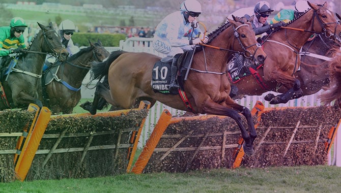 cheltenham festival flutter