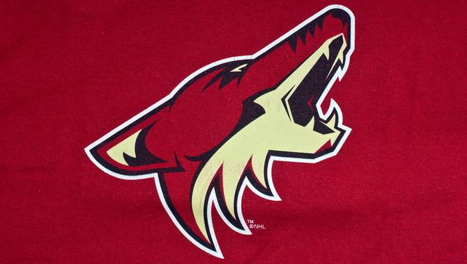 Arizona Coyotes